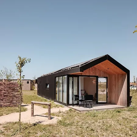 Nice With A Roof Window On The Brielse Meer Holiday home
