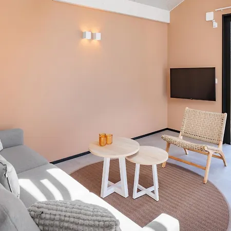 Nice With A Roof Window On The Brielse Meer Holiday home *